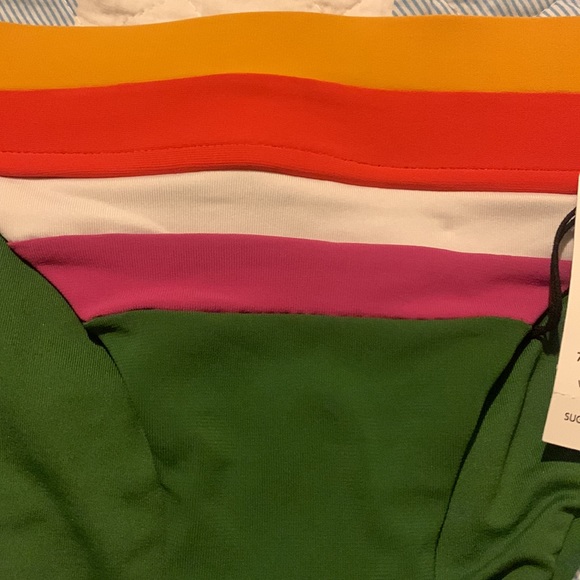 Robin Piccone Women's Suzie Color Block Banded Bikini Bottom - Picture 4 of 14